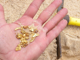 pépites d'or