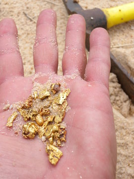 p&eacute;pites d'or