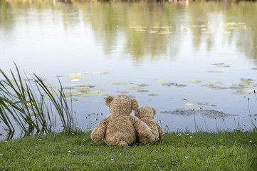 back view of teddy bears looking at the lake
