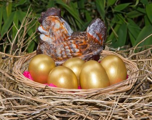 oeufs d'or et sa poule