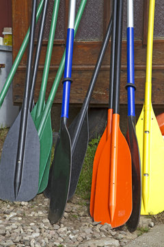 Bunte Paddel, stehend