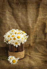 Rustic daisy bouquet in vintage style with background for text