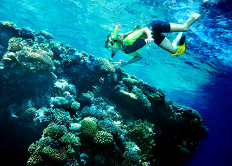 Fototapeta na wymiar Płetwonurek dziecko z grupy ryb koralowych.