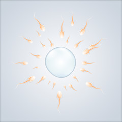 fertilization