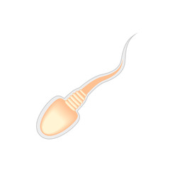 sperm