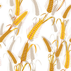 Seamless pattern with wheat ears