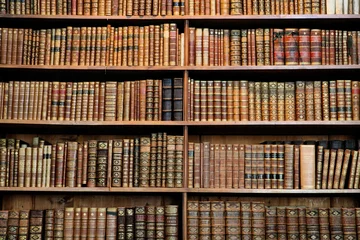 Foto op Plexiglas Antieke boekenrekken in een oude bibliotheek in Wenen © jorisvo