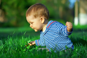 beautiful baby boy sitting among green grass on spring lawn