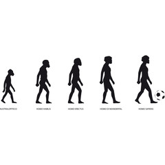 evoluzione