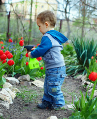 cute baby boy irrigating flowers in colorful garden