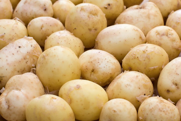 Fresh potatoes