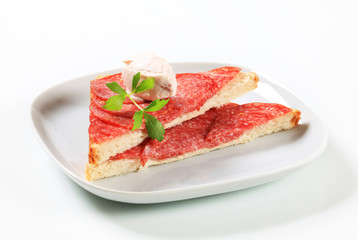 Salami sandwich