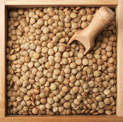wooden box full of laird lentils