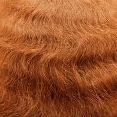 Wavy healthy long red hair as a background or texture