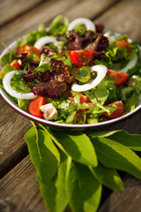 fresh tomato and cucumber salad.