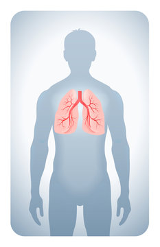lungs highlighted on the silhouette of a man