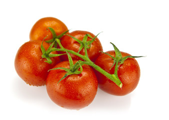 Close-up photo of fresh organic tomatoes with water drops and sh