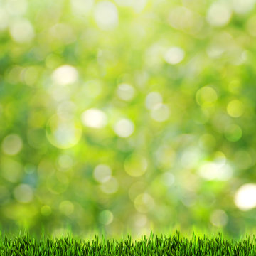 Green grass over abstract summer backgrounds with beauty bokeh