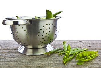 Freshly picked home grown organic peas in a colander