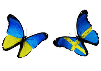 Concept - two butterflies with Ukrainian and Swedish flags flyin
