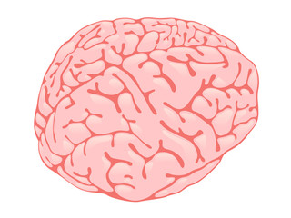 Volumetric pink brain form in three-quarters
