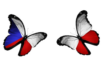 Concept - two butterflies with Czech and Polish flags flying