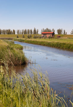 Dutch polder landscape in springtime