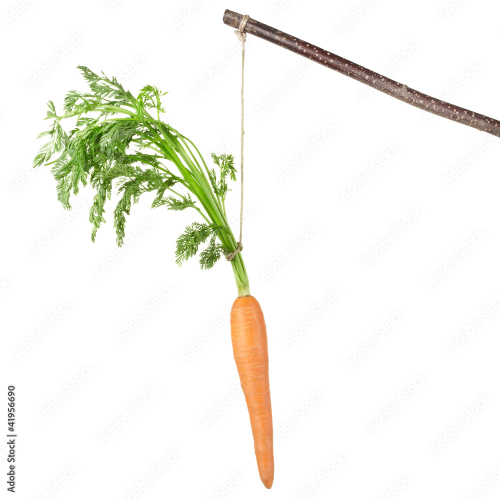 Fototapete Carrot on a stick isolated on white