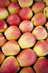 Packed Apples