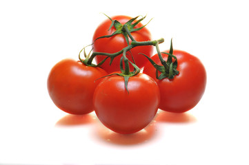 pomodoro