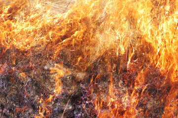 Grass Fire