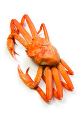 ベニズワイガニ