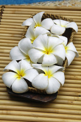 Fototapeta na wymiar Full of frangipani flower in bowl on mat