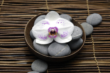 white orchid in bowl with stones on mat