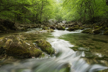 Fototapeta premium beautiful landscape with a mountain river in Crimea