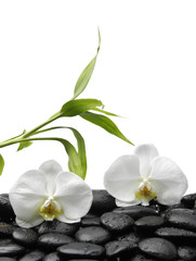 Fototapeta na wymiar Beautiful two white orchid with bamboo leaves on pebble
