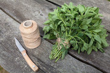 tied oregano prepared for drying on wooden table