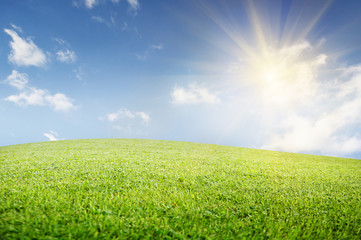 Fototapeta na wymiar green field of grass and perfect cloudy sky