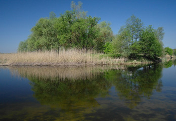 Fototapeta na wymiar View on the river , spring .Ukraine.