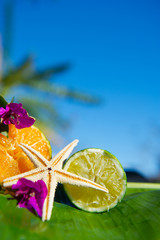 Tropical citrus fruit