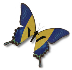 Barbados flag on butterfly