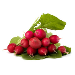 .Small garden radish  .