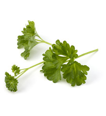 parsley