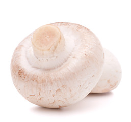 Champignon mushroom