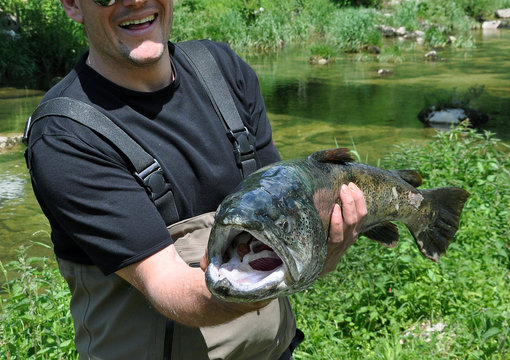p&ecirc;cheur &agrave; la truite