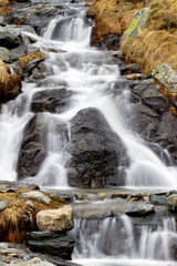 disgelo