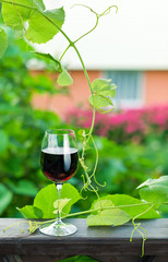 red wine