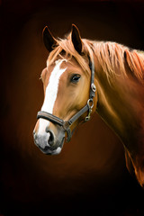 painting portrait of a horse - 41976852
