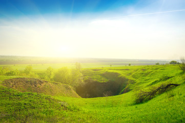 Field of grass,blue sky and sun.