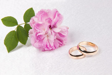 Wedding rings and rose